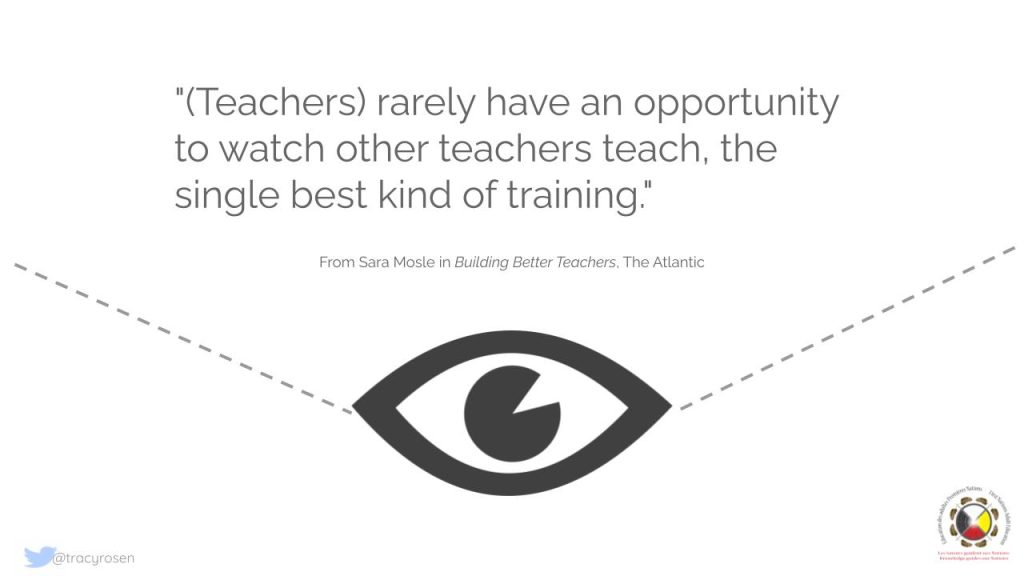 "(Teachers) rarely have an opportunity to watch other teachers teach, the single best kind of training." From Sara Mosle in Building Better Teachers, The Atlantic.