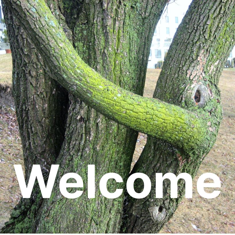 A cluster of moss covered tree trunks that look like they are hugging with the word Welcome in white font across the bottom.