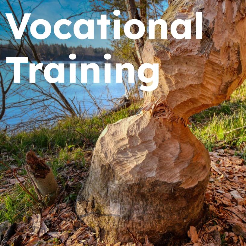 Vocational Training